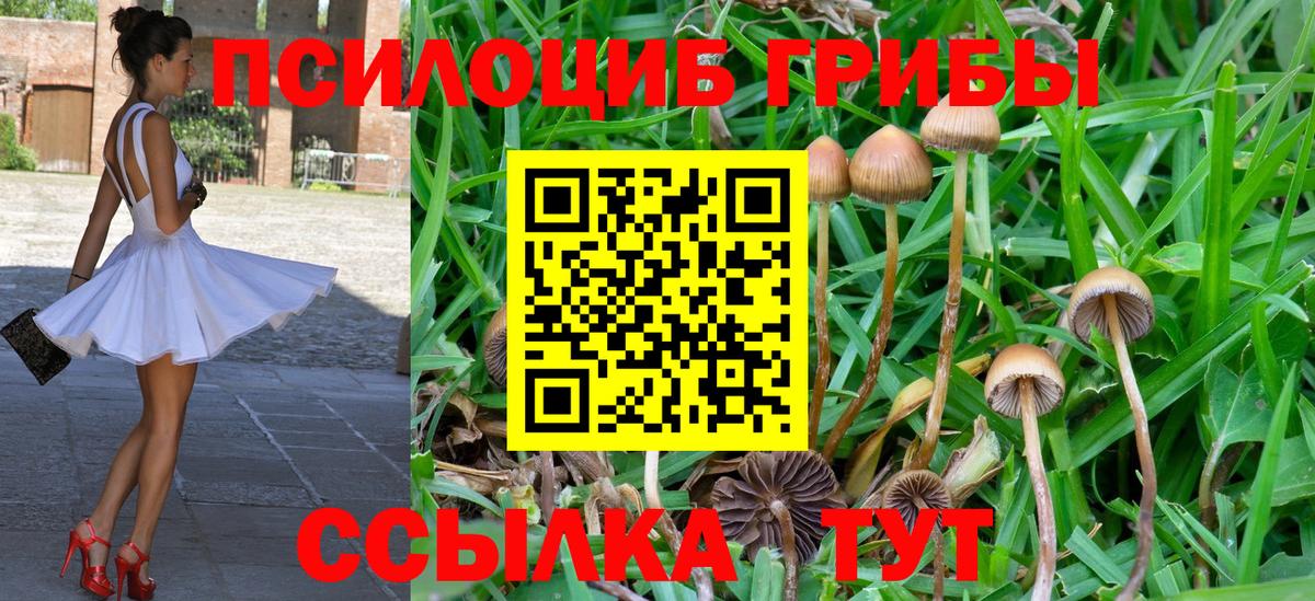 Галлюциногенные грибы мицелий  Вход с VPN  Ковров 