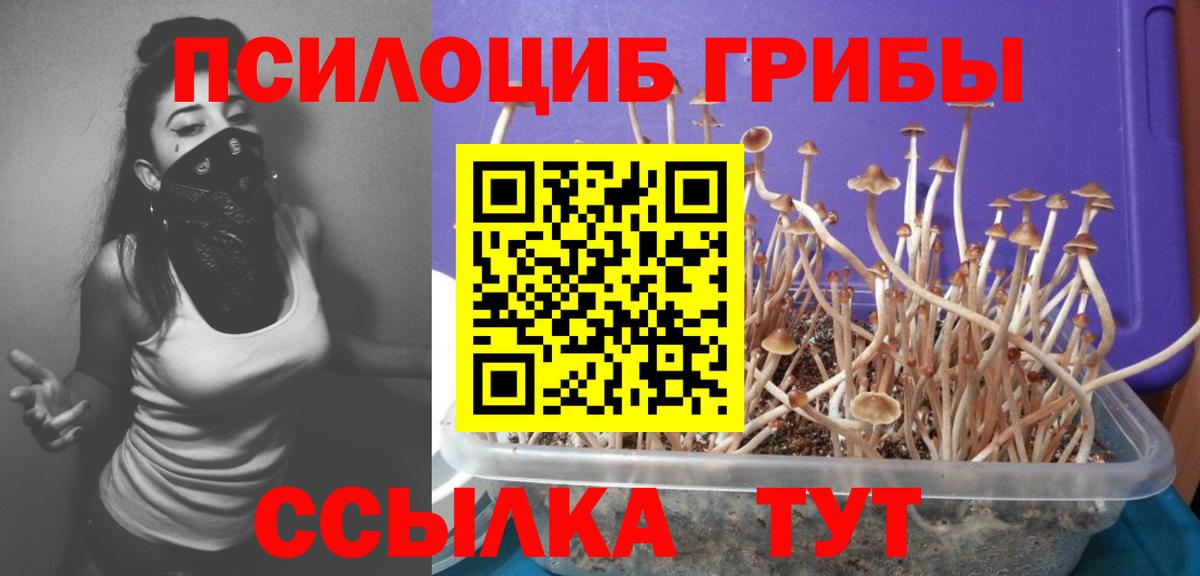 Галлюциногенные грибы MAGIC MUSHROOMS Ковров